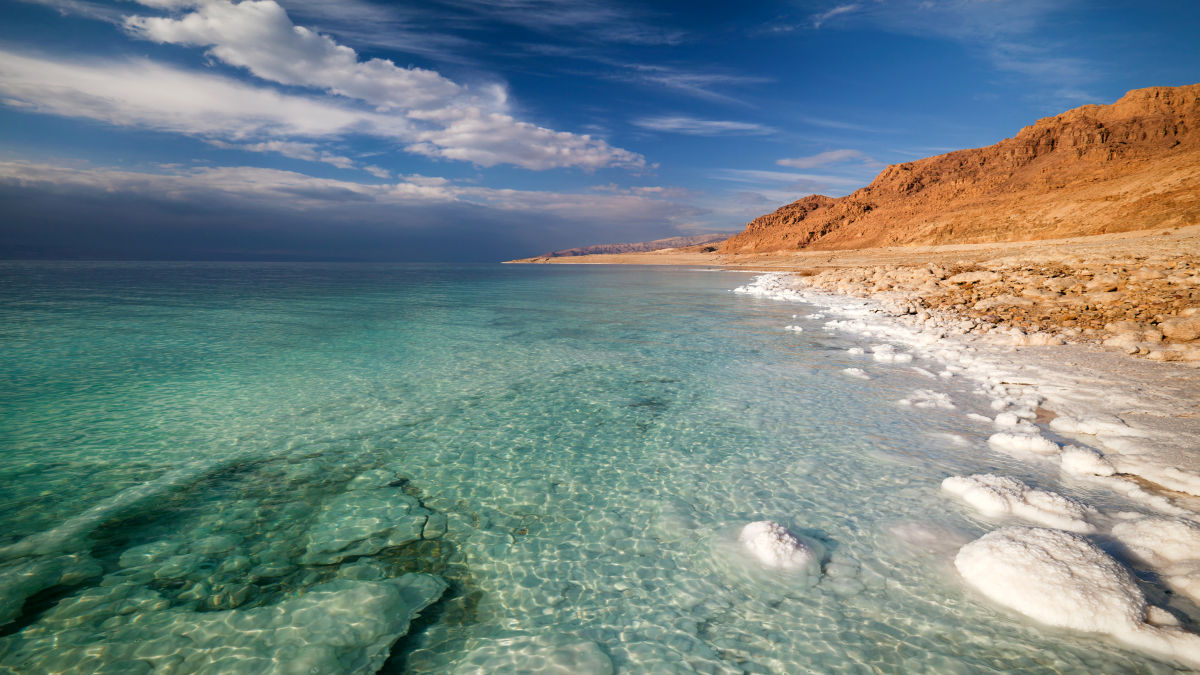 Holt-tenger
