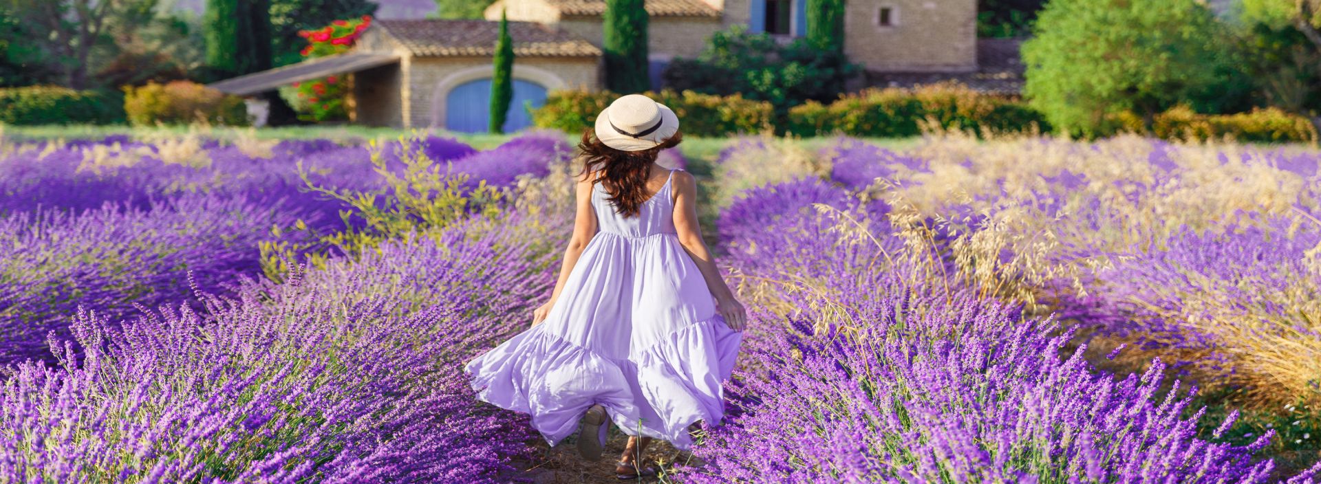 PROVENCE SZÍNEI fotó