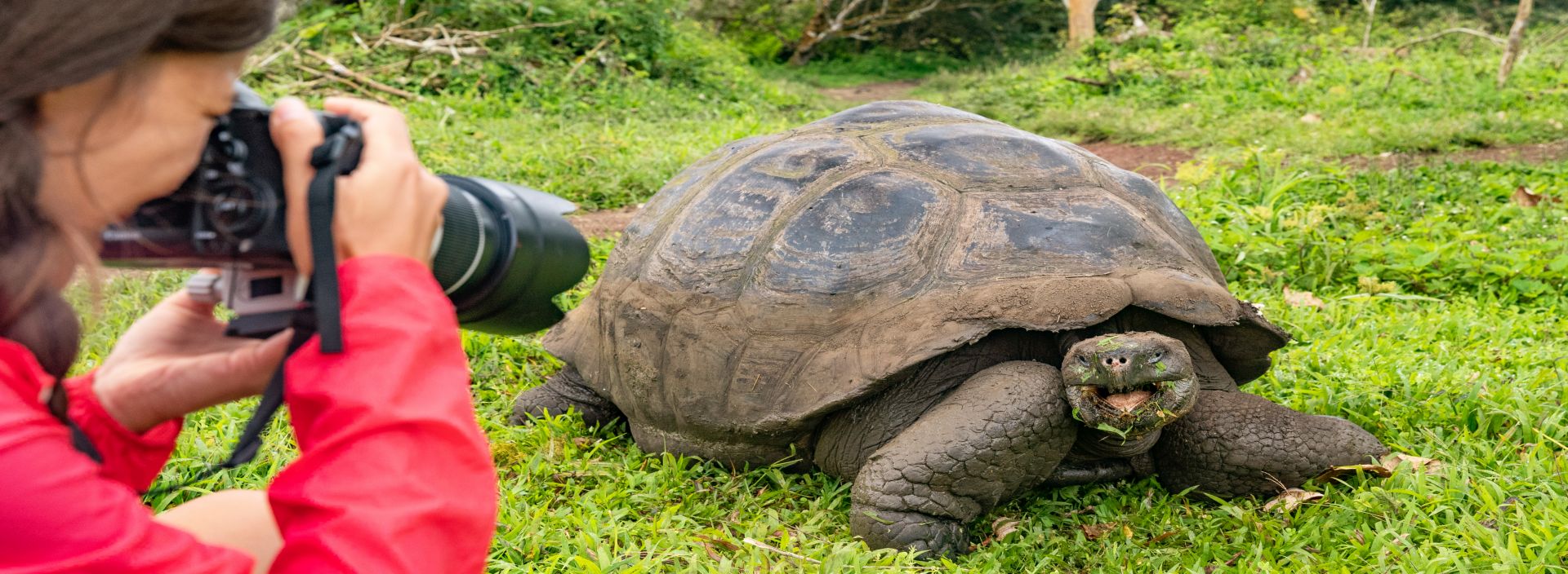 ECUADOR: QUITO ÉS GALÁPAGOS-SZIGETEK VILÁGA fotó
