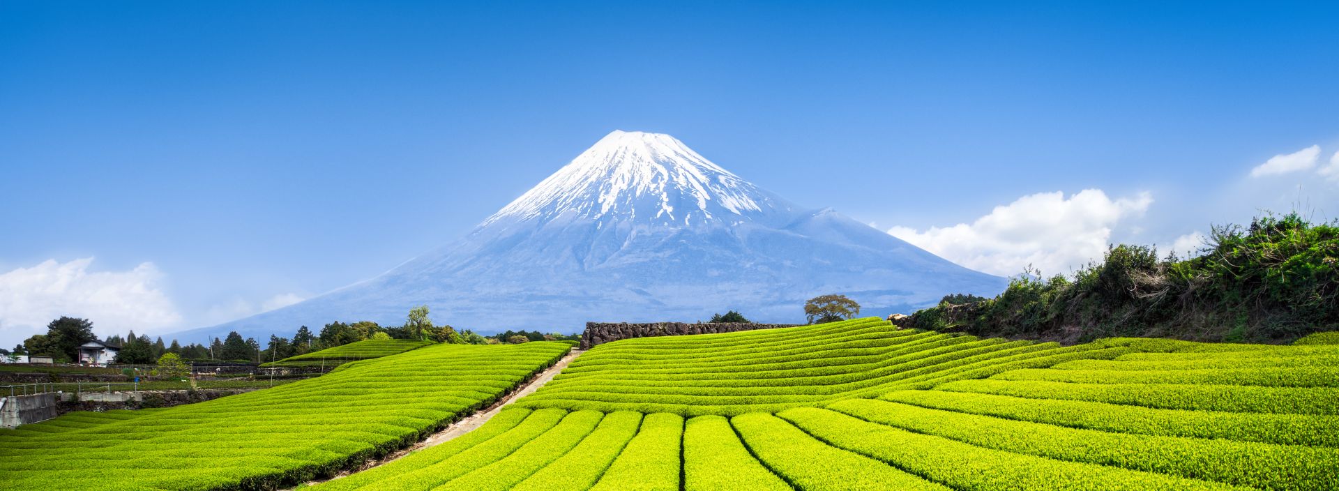 VILÁGÖRÖKSÉGEK JAPÁNBAN fotó