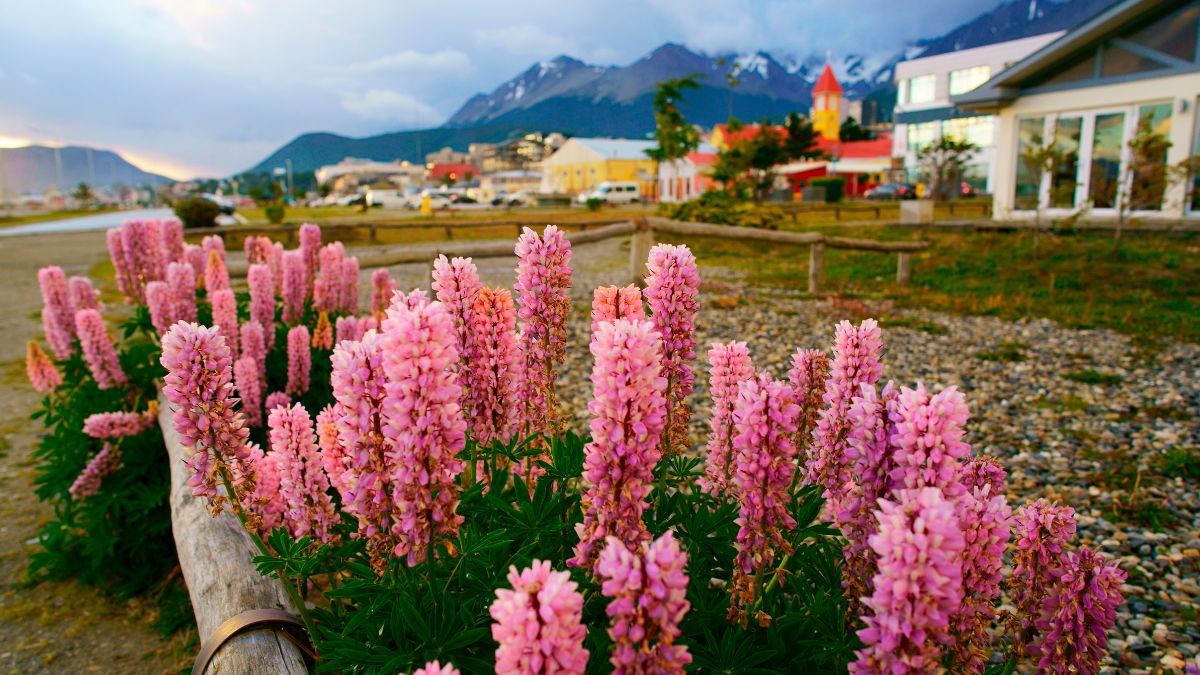 Világvége és Ushuaia - OTP Travel Utazási iroda