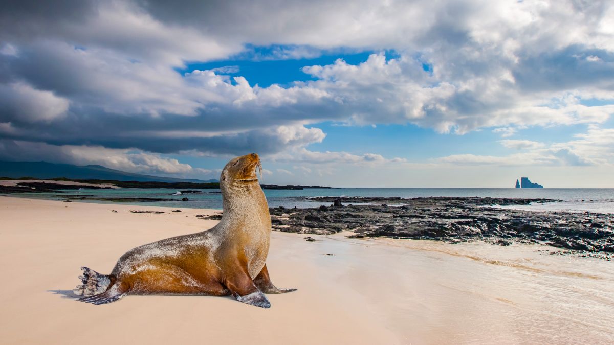 Galápagos világa: San Cristóbal-sziget  - OTP Travel Utazási Iroda
