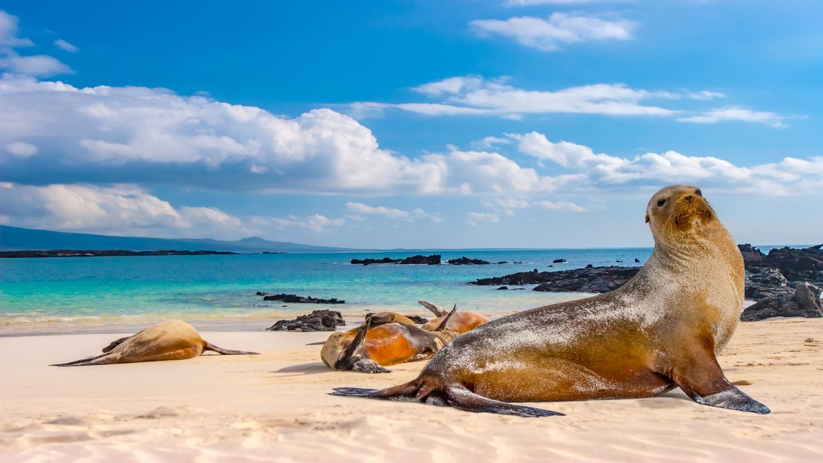 Galápagos világa: San Cristóbal-sziget - OTP Travel Utazási Iroda