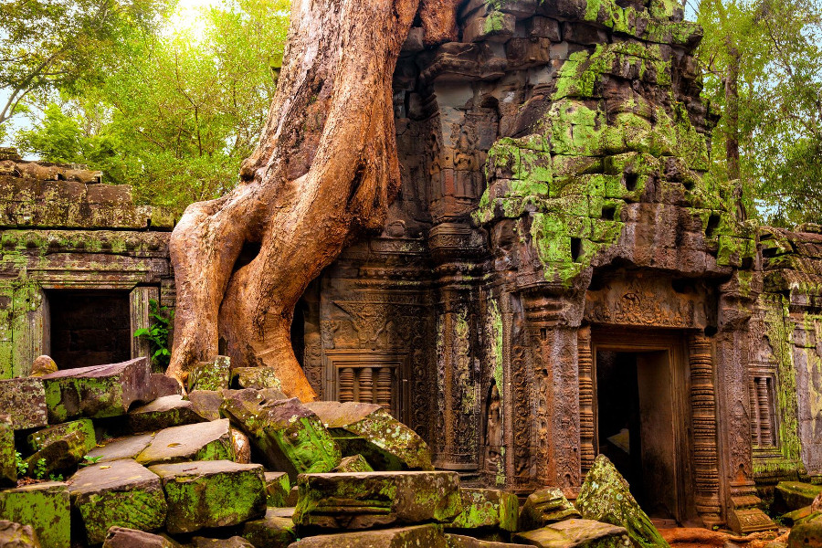 Angkor Ta Phrom 