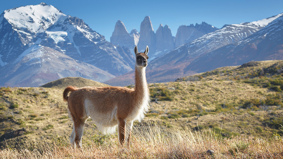 Chile legjava - OTP Travel Utazási Iroda