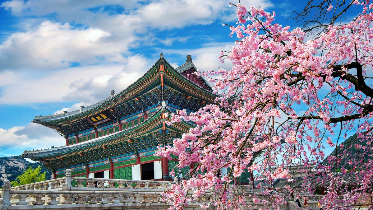 Busan - a filmfesztiválok hazája  - OTP Travel Utazási Iroda