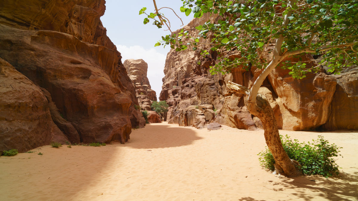 Jordánia marsbéli tája, a Wadi Rum - OTP Travel Utazási Iroda