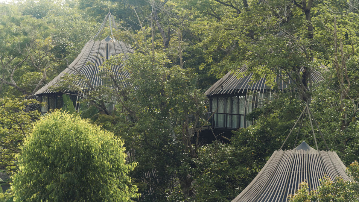 Tree pool villa