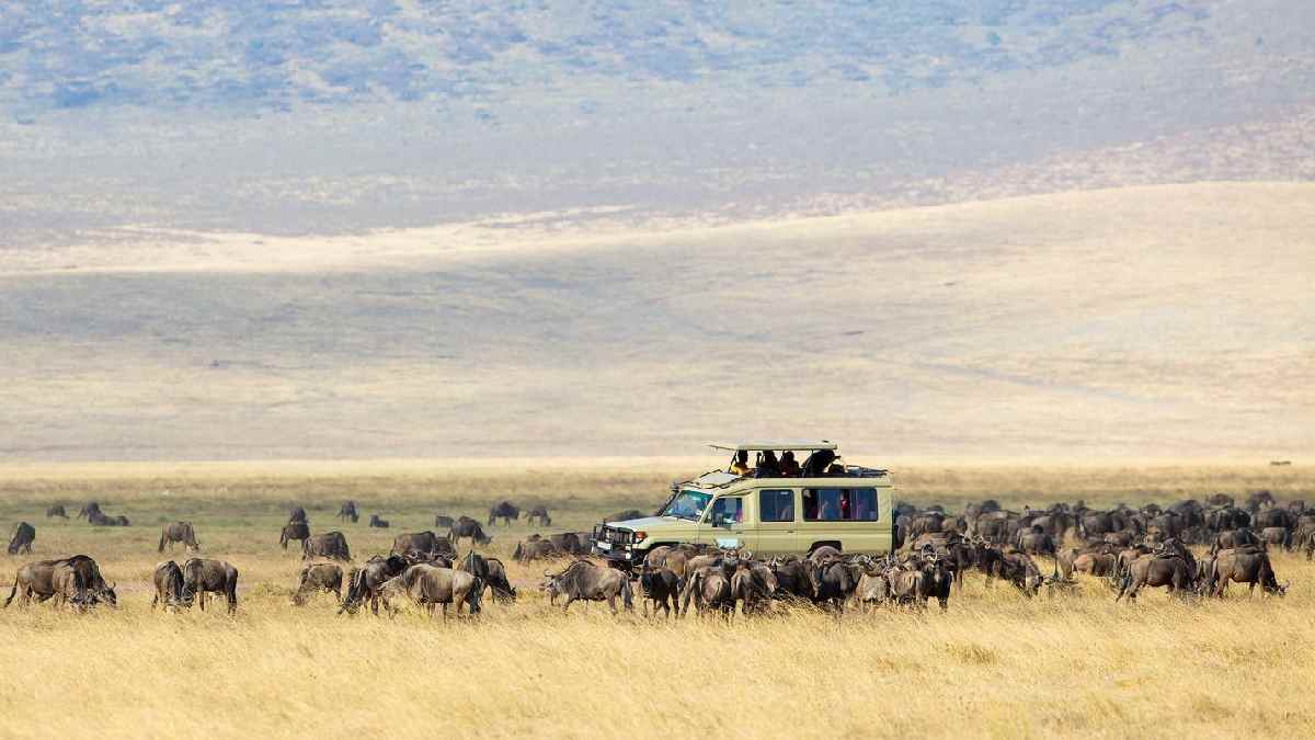 Ngorongoro-kráter