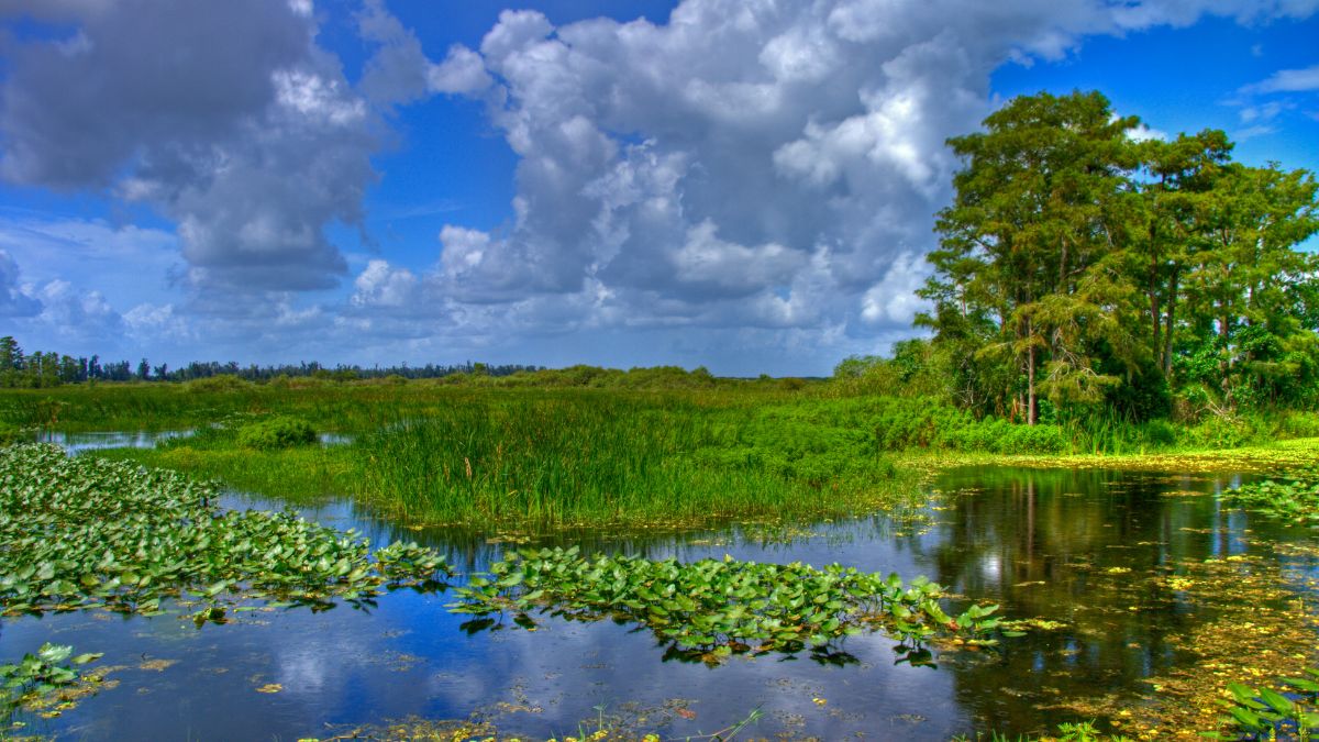 Everglades Nemzeti Park
