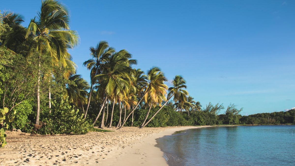 Martinique - Salines strand