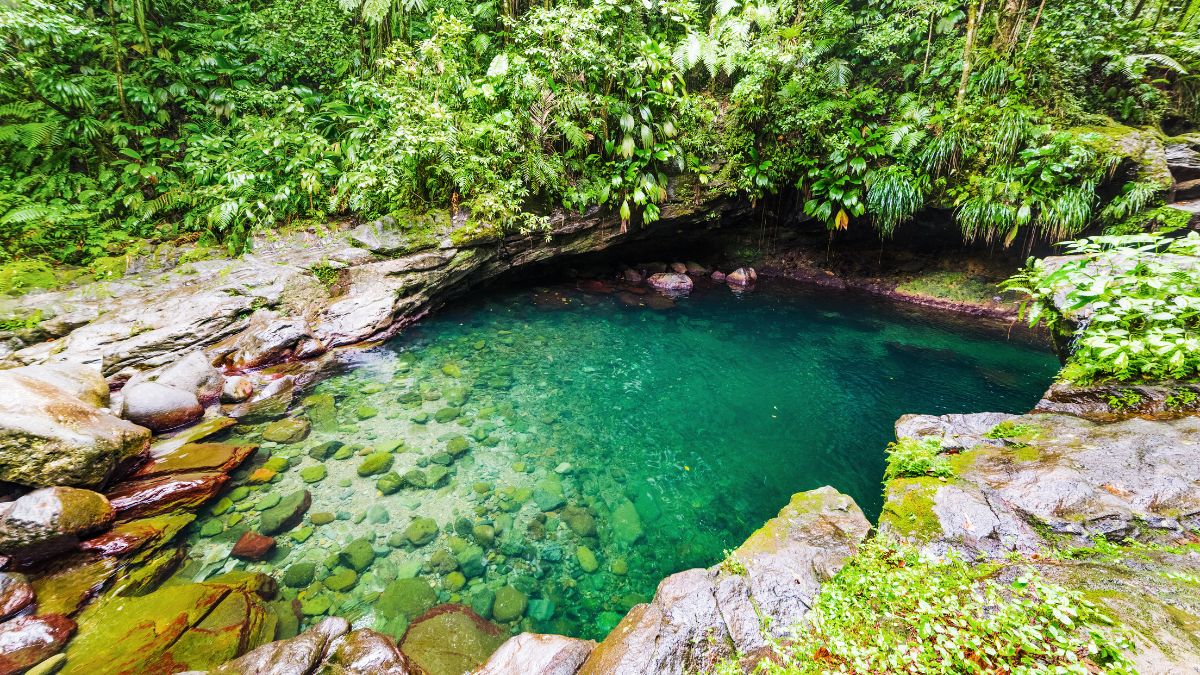 Guadeloupe Nemzeti Park
