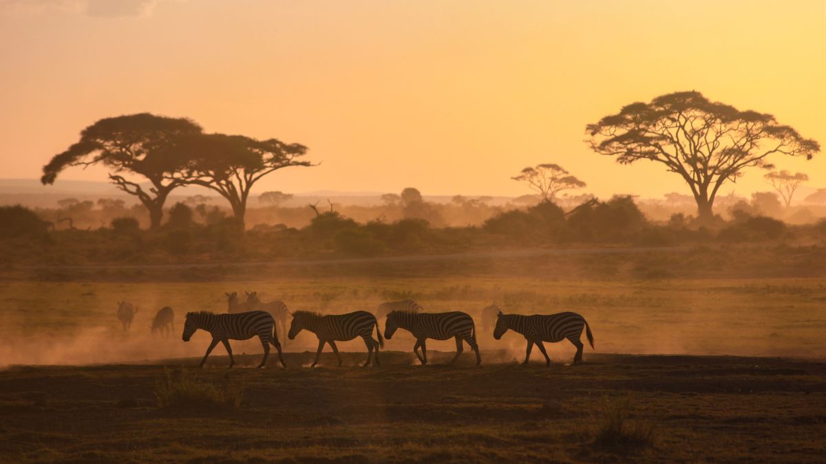 Amboseli Nemzeti Park
