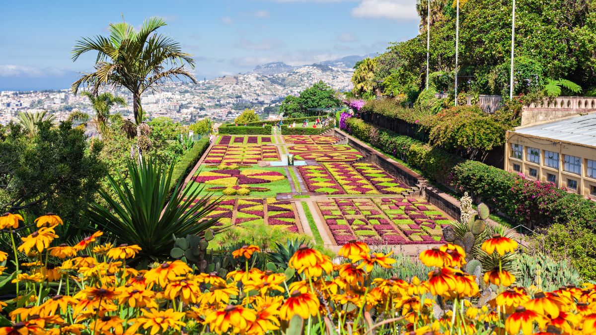 Funchal - botanikus kert