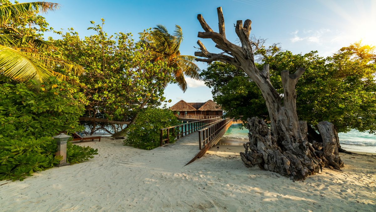 Water Villa