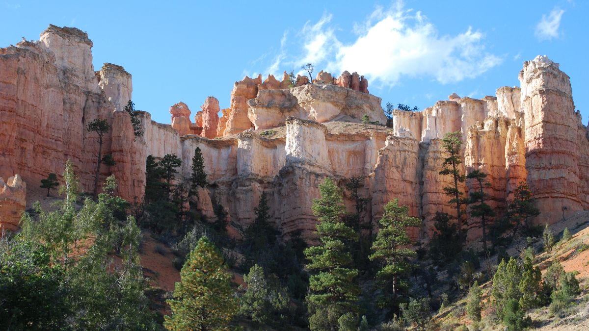 Zion National Park