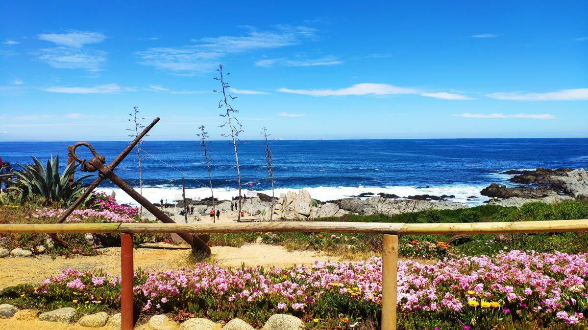 Isla Negra 