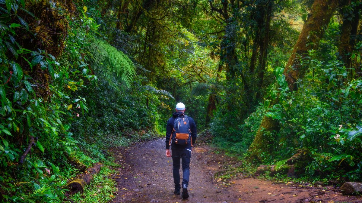 Monteverde felhőerdők