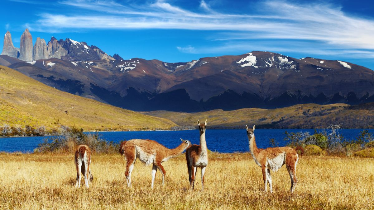 Torres del Paine Nemzeti Park