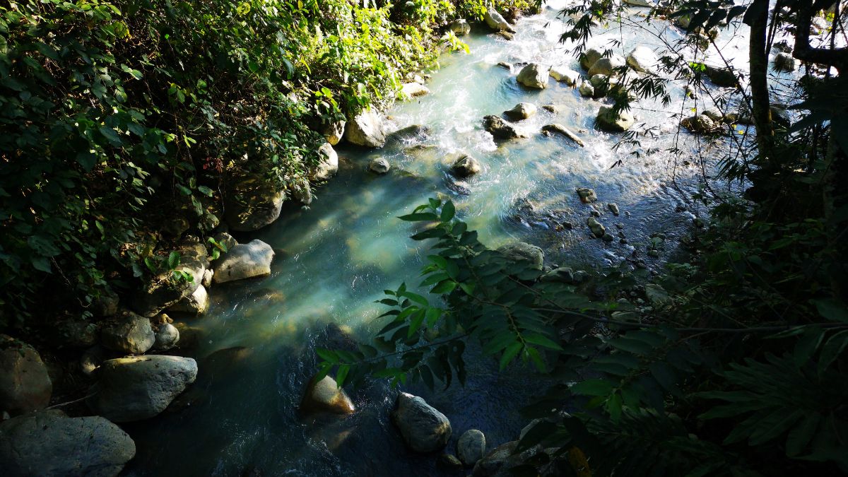 Kinabalu Nemzeti Park