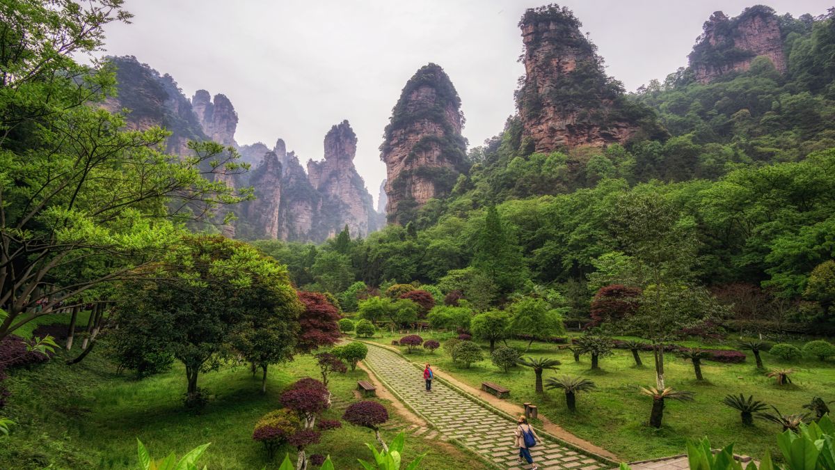 Zhangjiajie Nemzeti Erdőpark