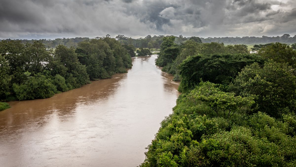 Caño Negro Vadvédelmi Rez.