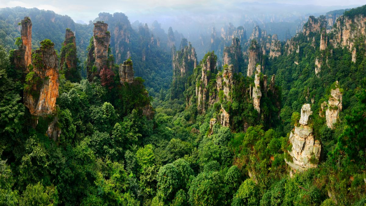 Zhangjiajie Nemzeti Erdőpark