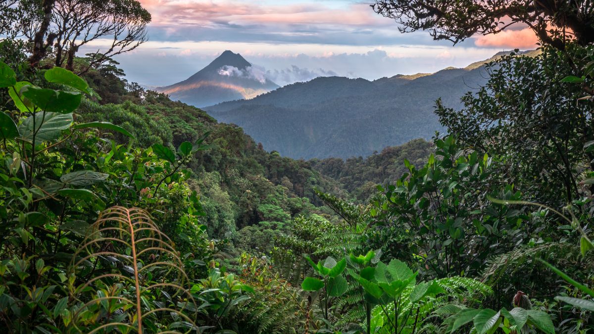 Monteverde felhőerdők 