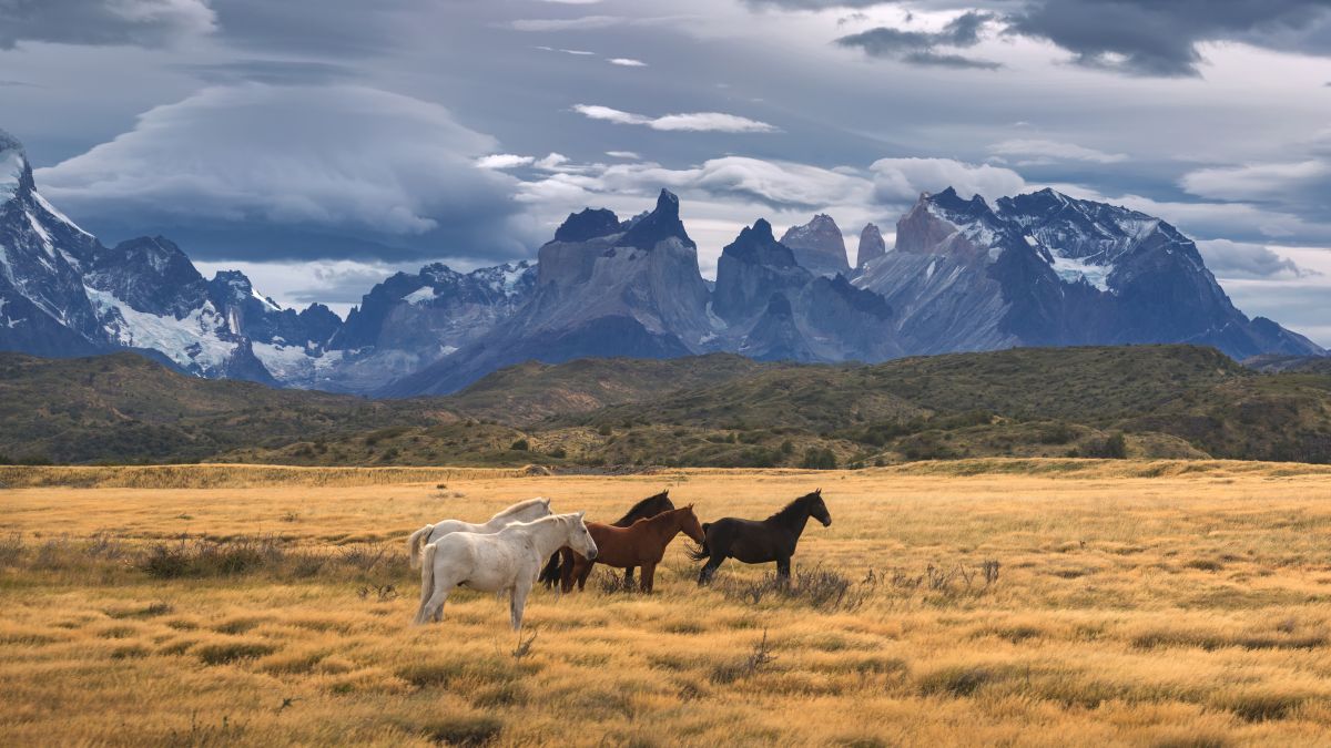 Torres del Paine Nemzeti Park