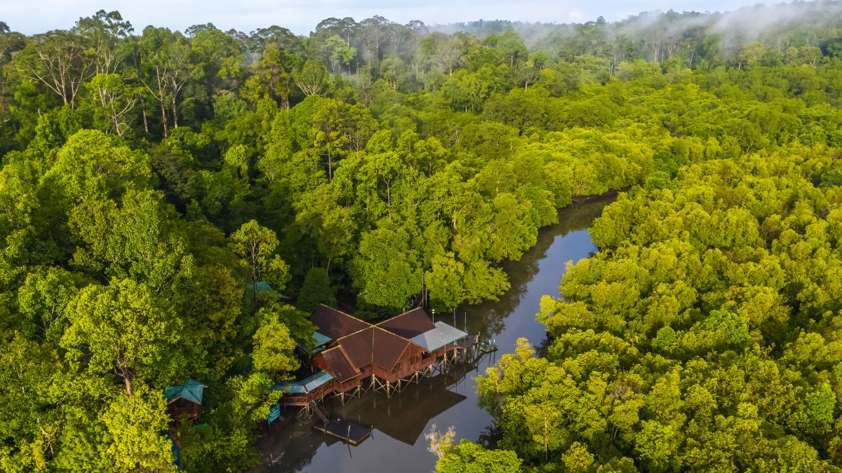 Kinabatangan folyó
