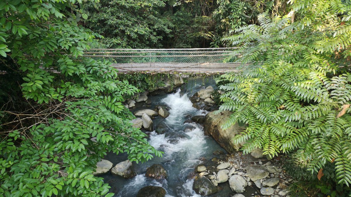 Kinabalu Nemzeti Park