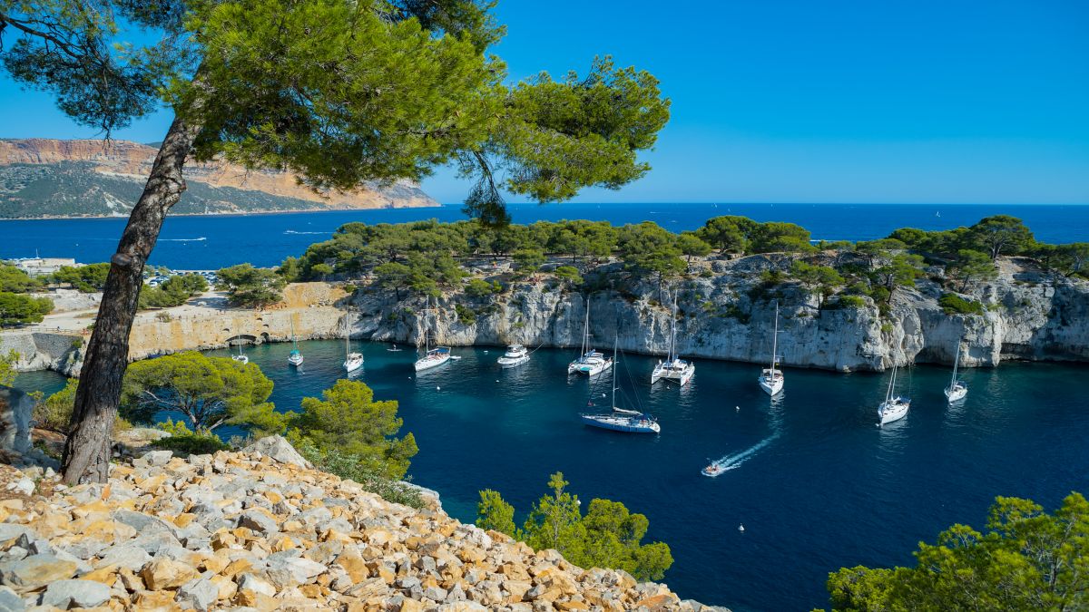 Cassis
