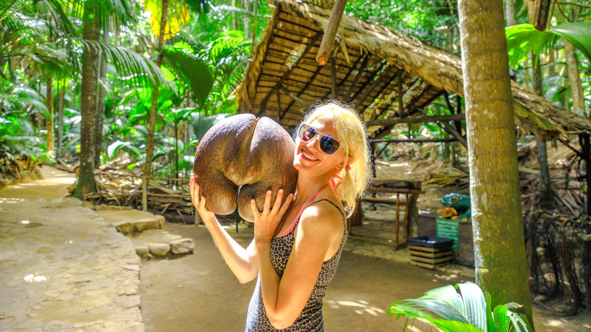 Vallée De Mai Nemzeti Park