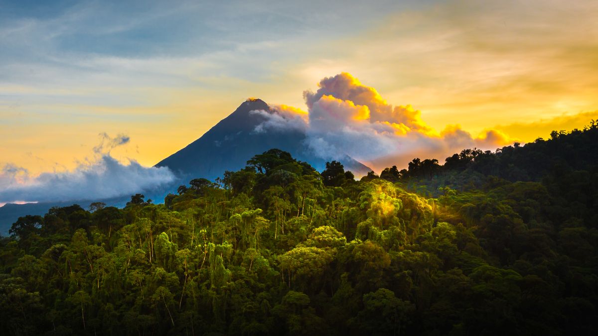 Monteverde felhőerdők 