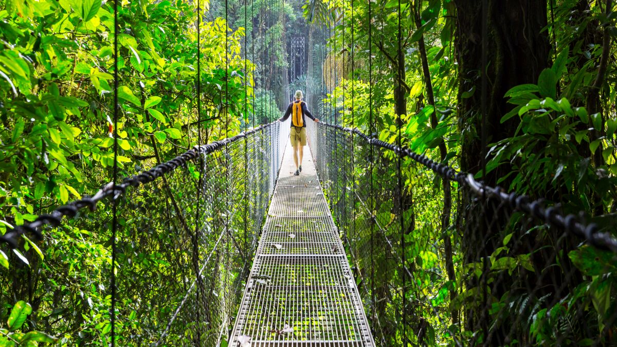 Hanging Bridges Park