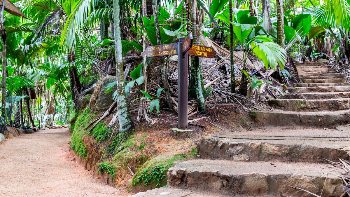 Vallée de Mai Nemzeti Park