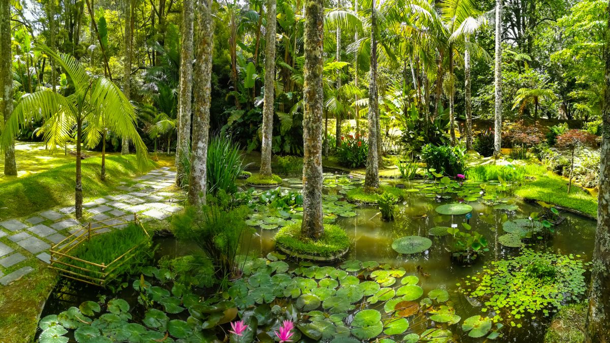 Terra Nostra park