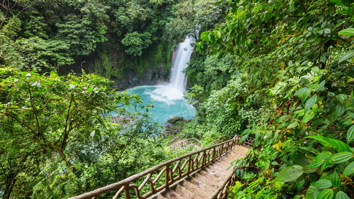 Hanging Bridges Park