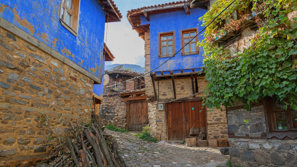 Cumalikizik