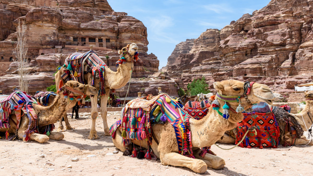 Petra