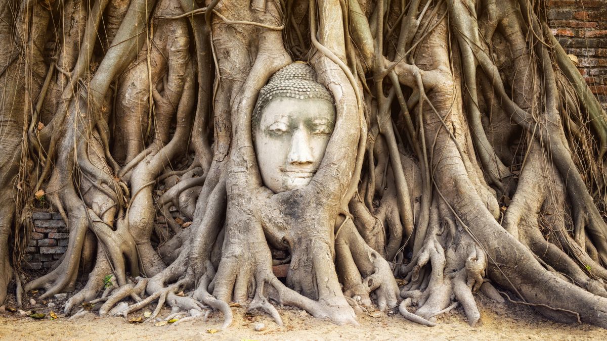 Ayutthaya