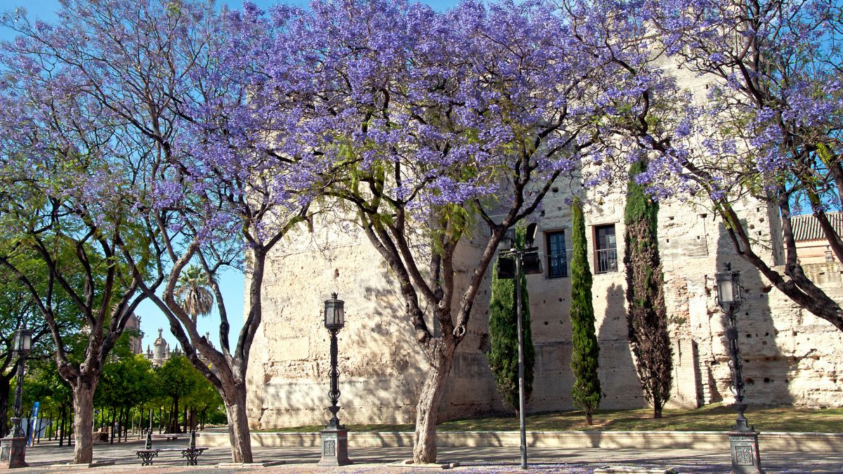 Jerez de la Frontera