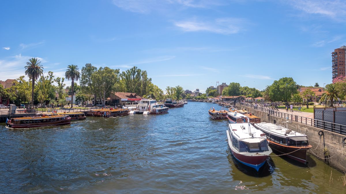 Tigre-delta