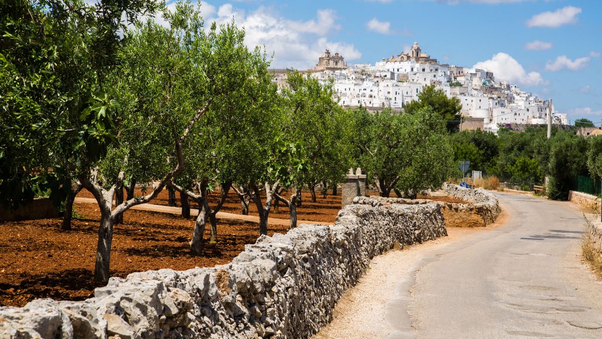 Ostuni