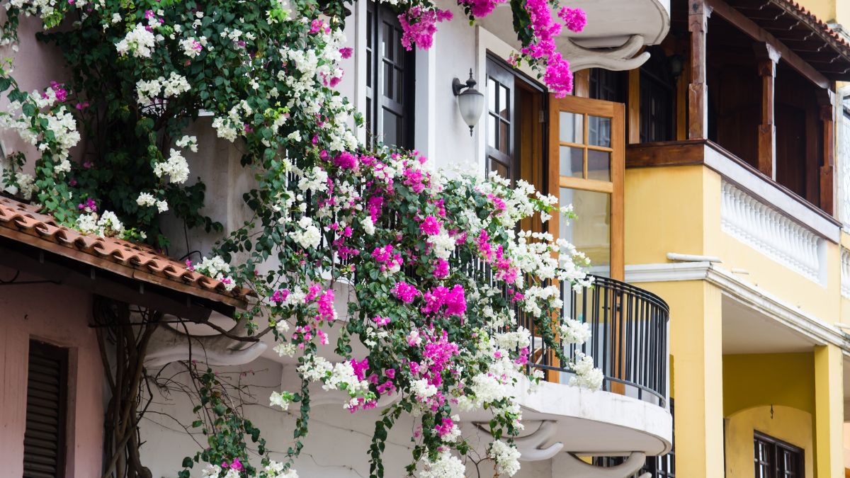 Casco Viejo negyed