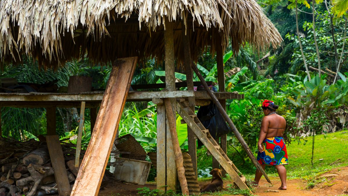 Embera indián közösség