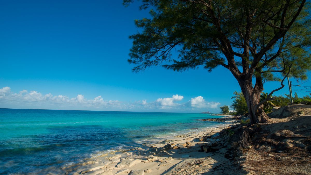 Bimini szigete