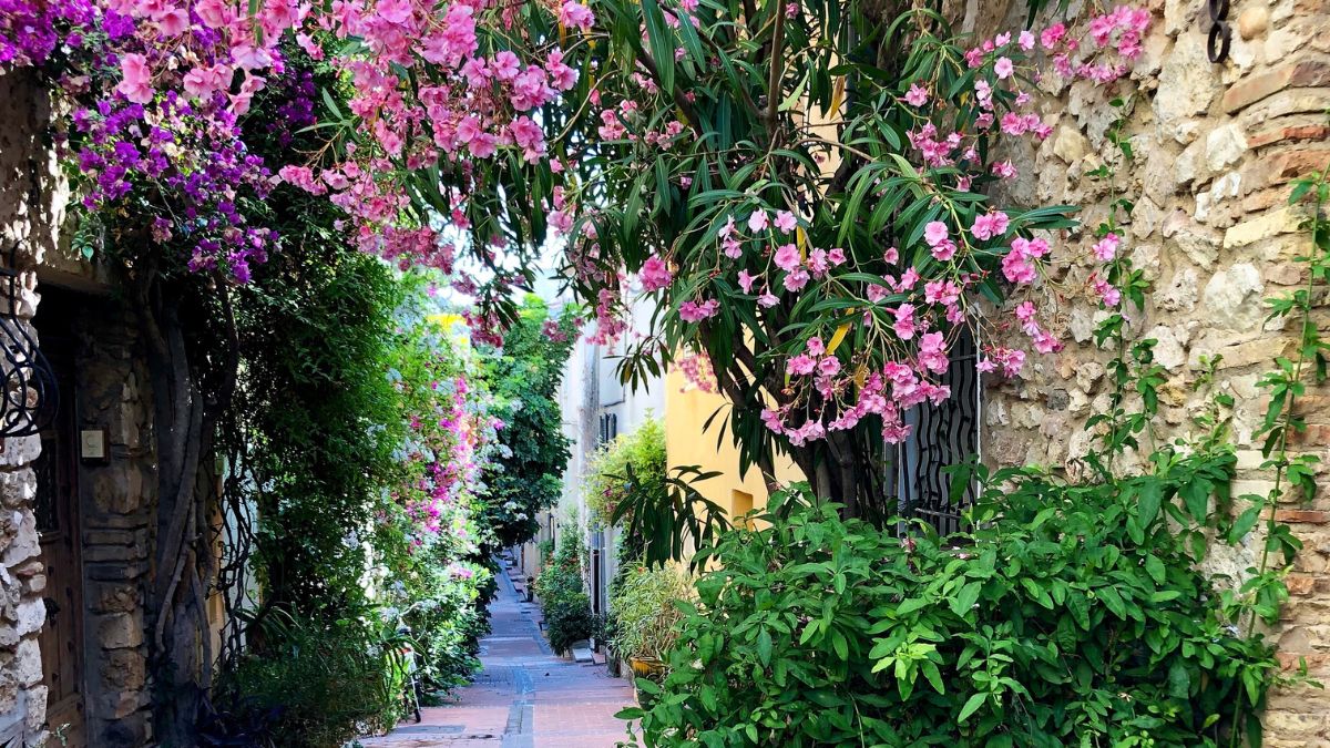 Antibes
