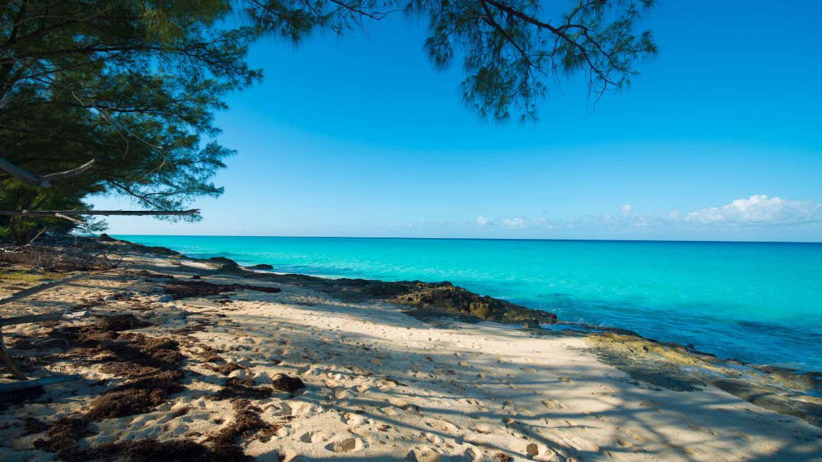 Bahamák, Bimini