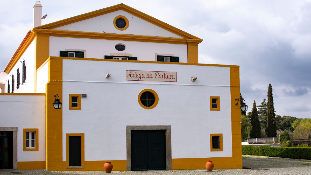 Cartuxa borászat
